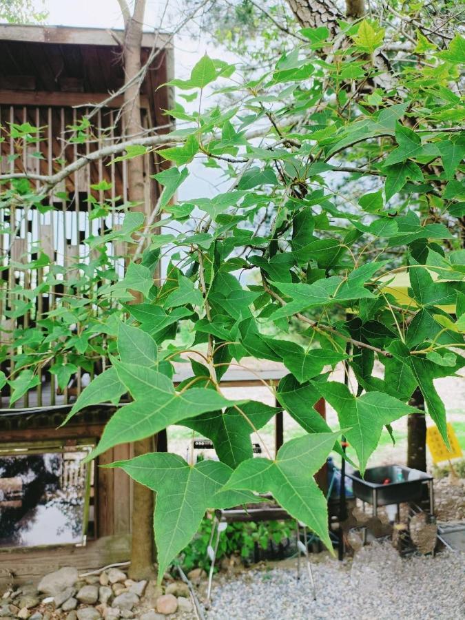 Fun星空謐境 埔里包棟民宿 烤肉麻將自然園區 Exteriér fotografie